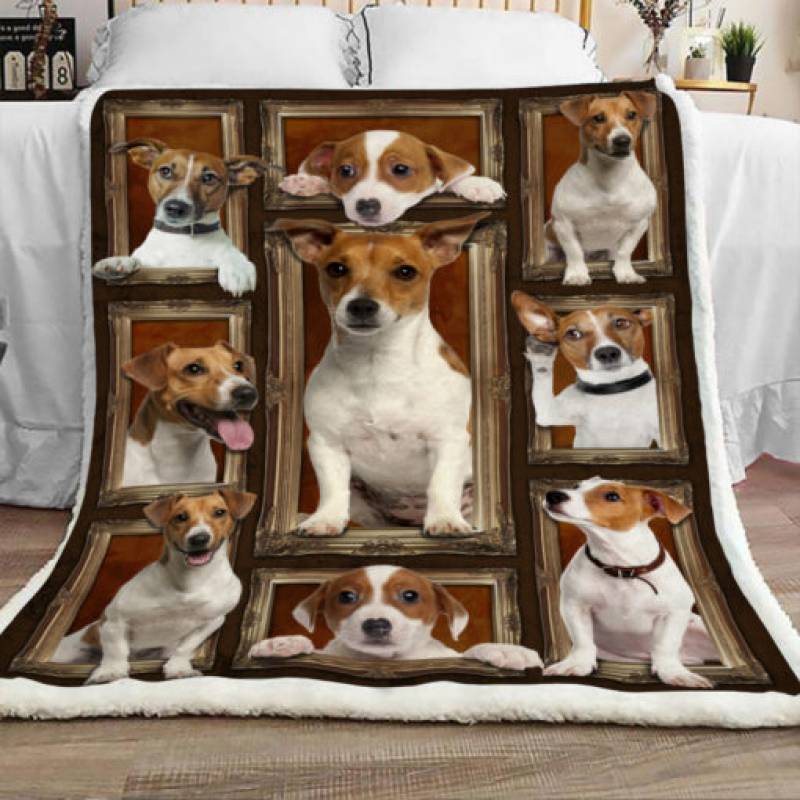 Jack Russell Terrier Dog Sherpa Blanket JR0201 67O39