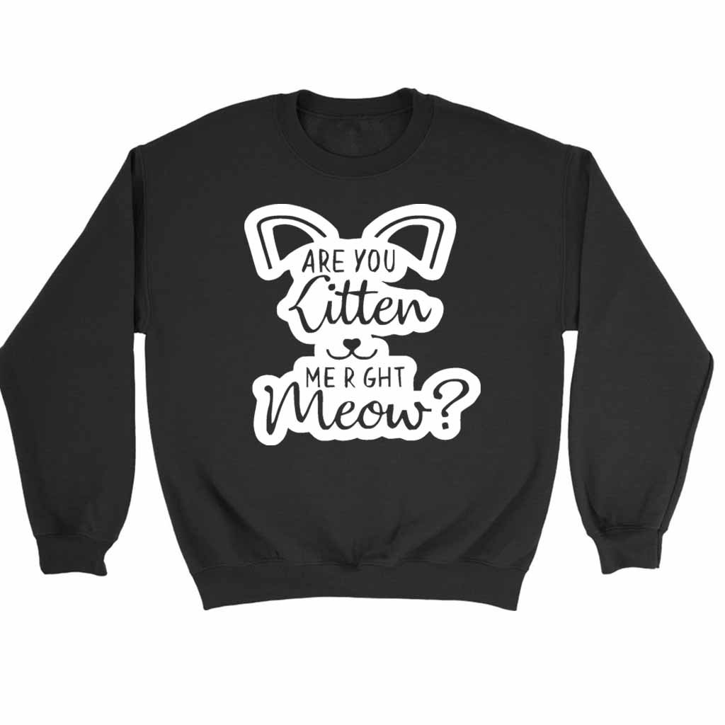 Are You Kitten Me Right Meow Go Sweatshirt Sweater