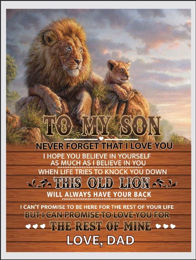 To My Son Love Dad Lion Cozy Fleece Blanket Sherpa Blanket