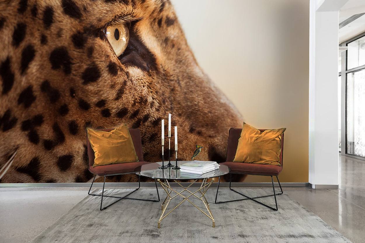 3D Leopard Wall Mural Wallpaper 84