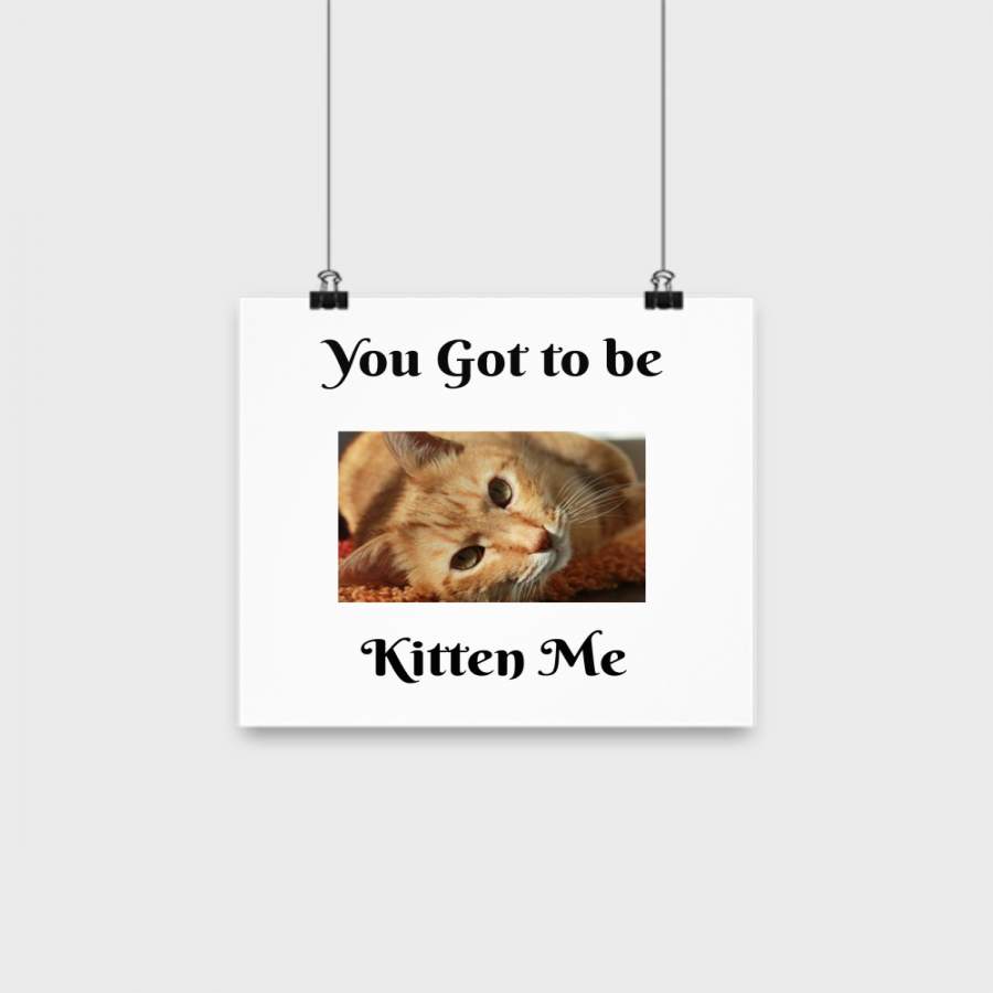 You Got To Be Kitten Me – 10″ Poster Wall Art Decor- Home Den Living Room Hanging Funny