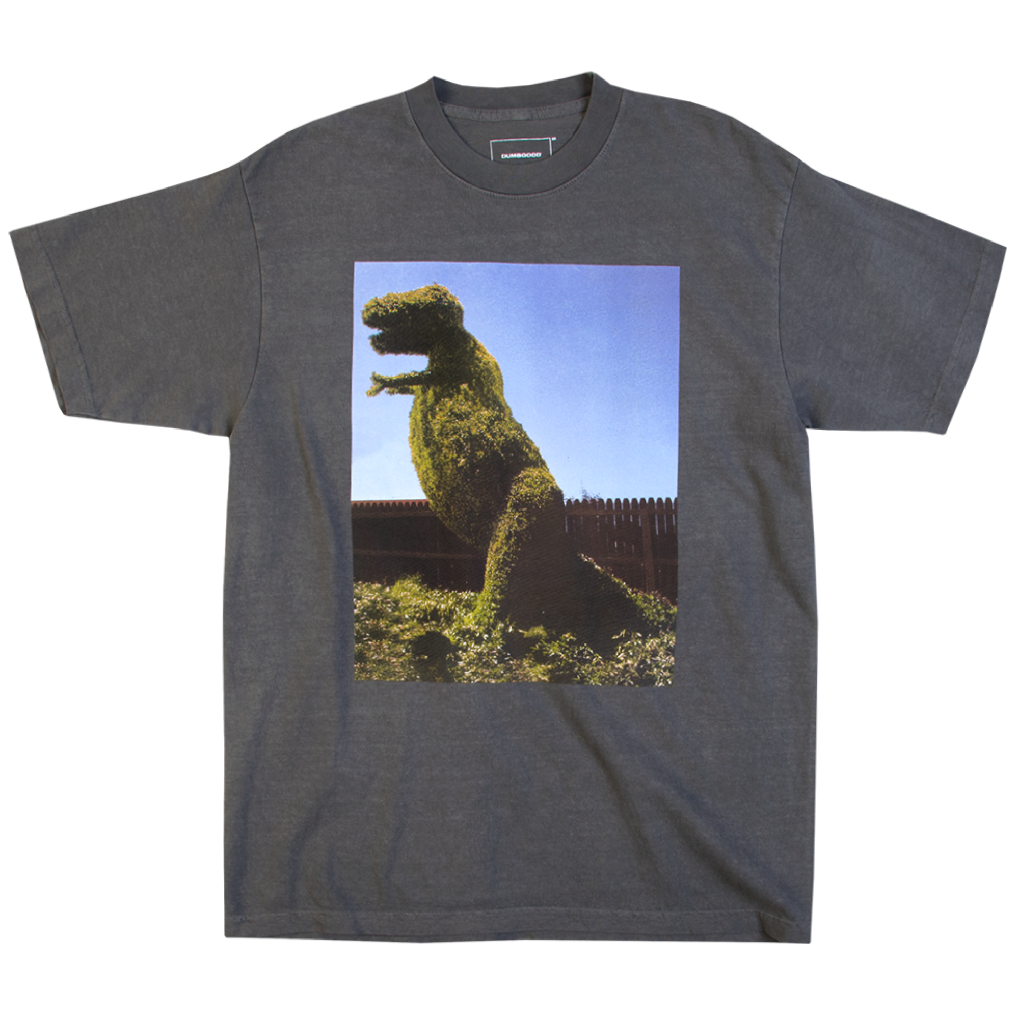 Dino Topiary Tee