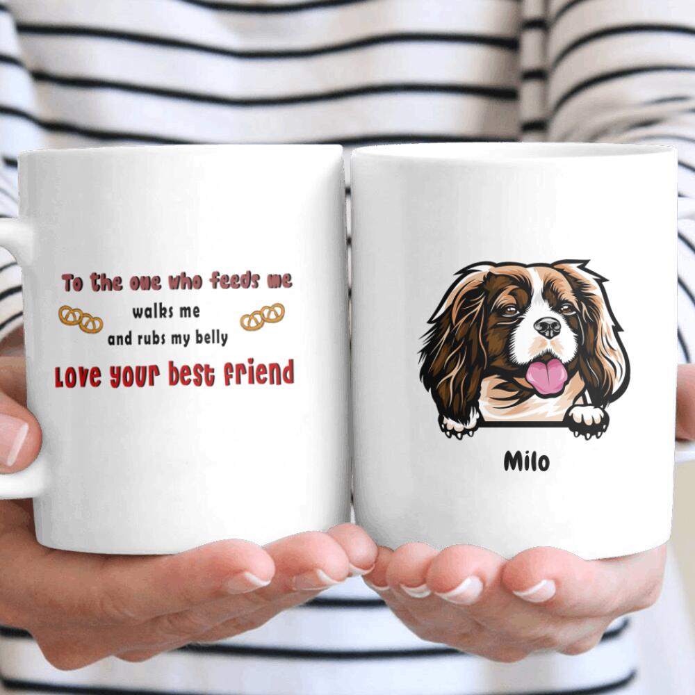 Personalized Dogs Talk To Humans Gift For Dog Lovers – Coffee Mug