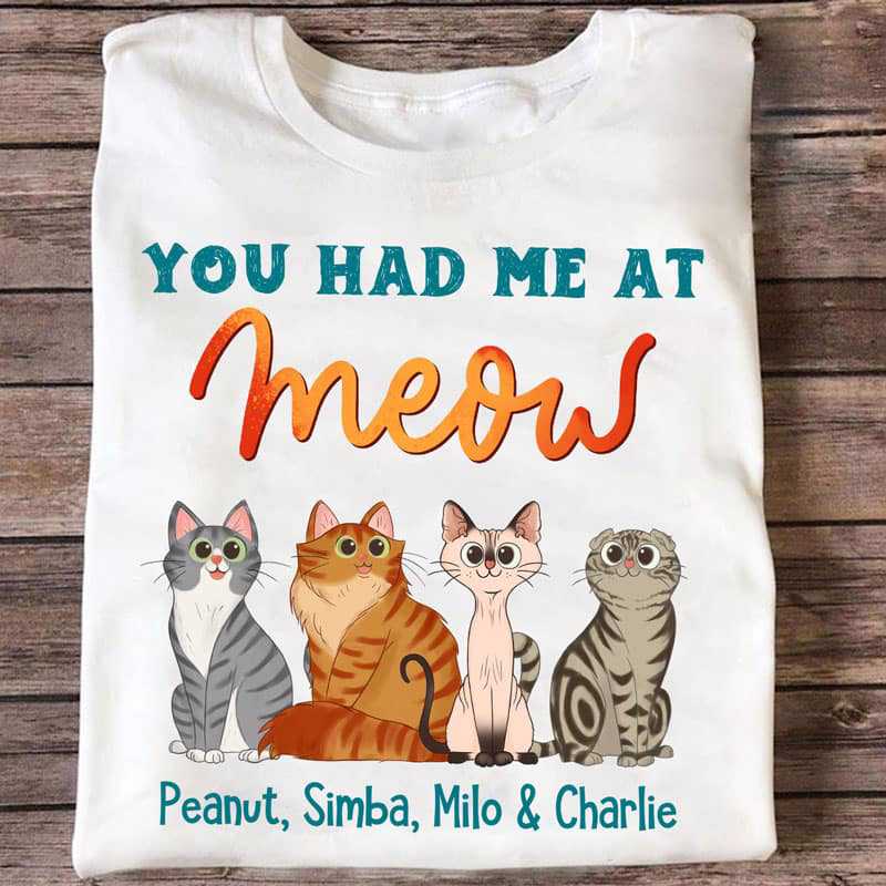 You Had Me At Meow Sitting Cat Cartoon Personalized Shirt