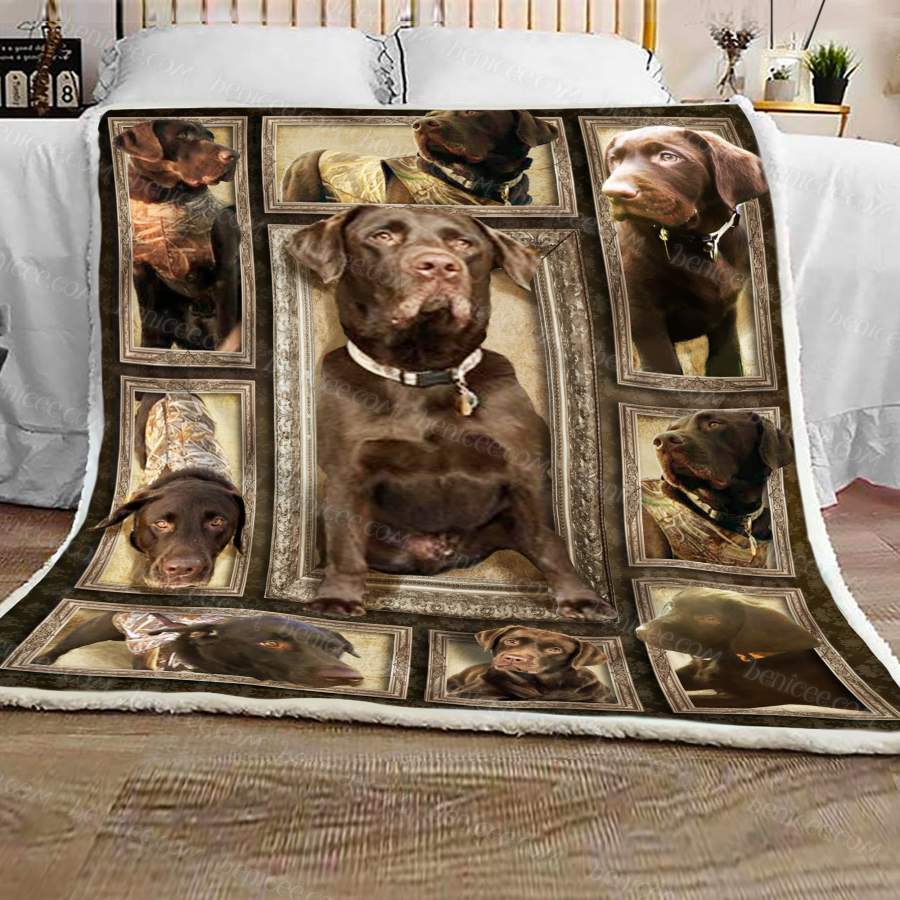 Labrador Brown  3D  Blanket Gift For  Labrador Brown Lovers