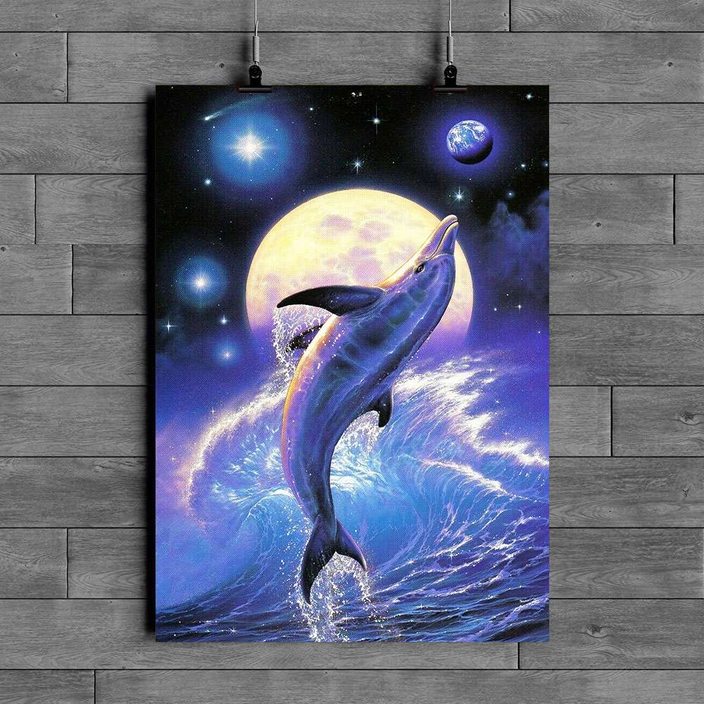 Dolphin Poster Tg130137Pt