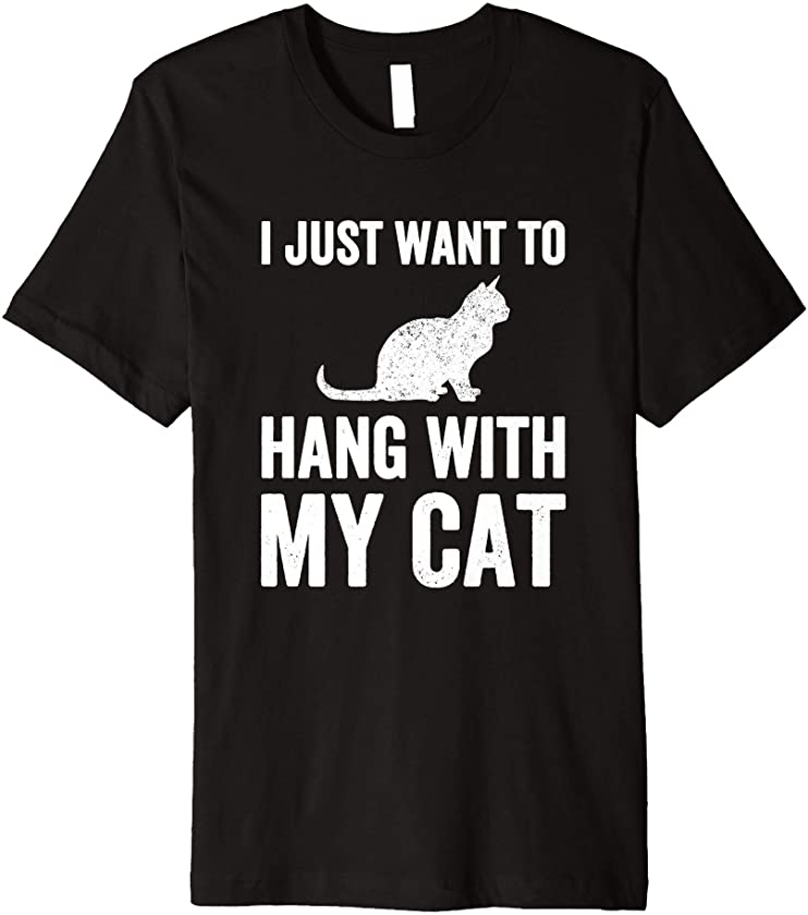 Cat Lover Gift Funny Kitten I Just Want To Hang With My Cat Premium T-Shirt