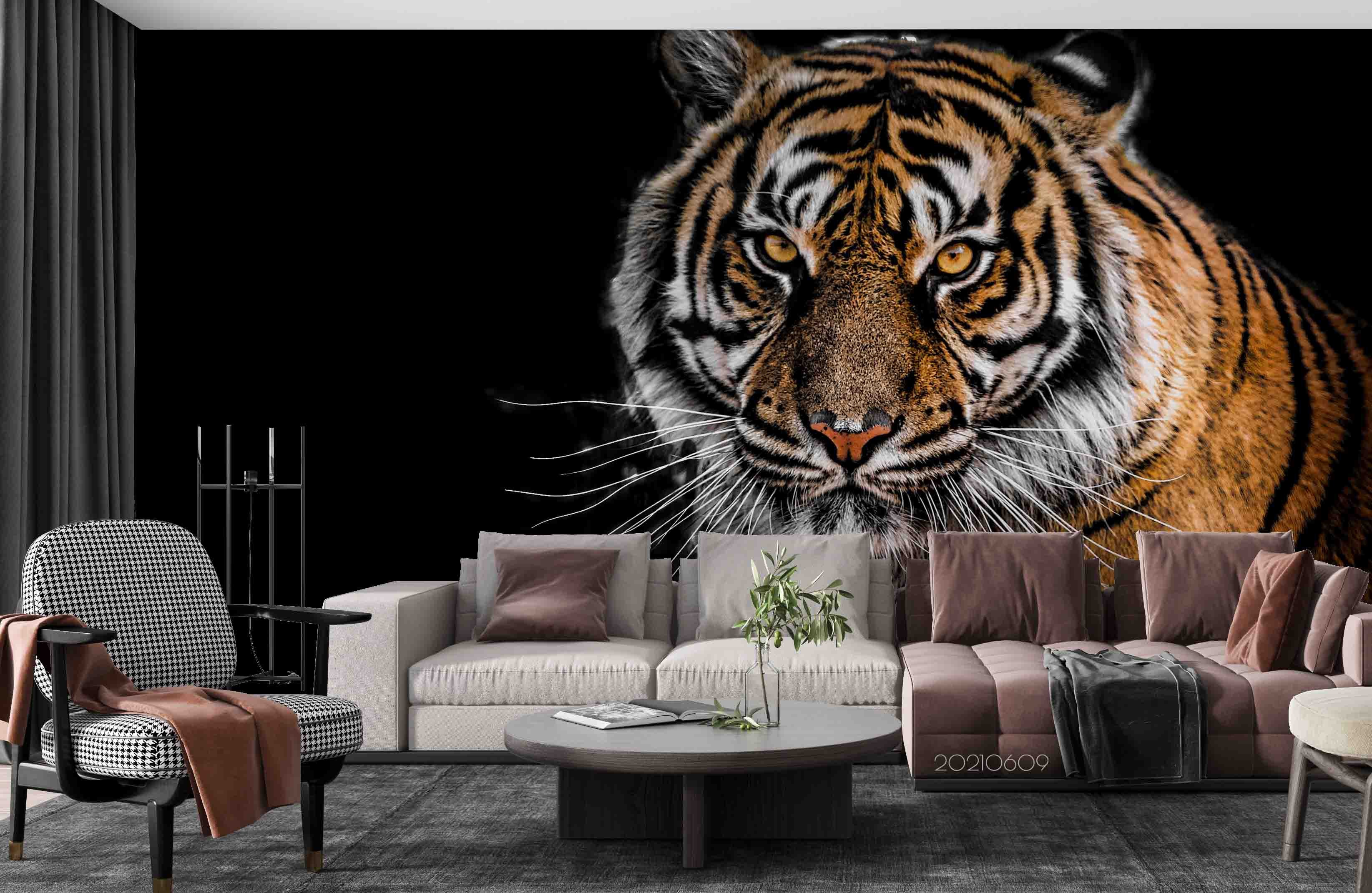 3D Tiger Black Background Wall Mural Wallpaper Sww1723