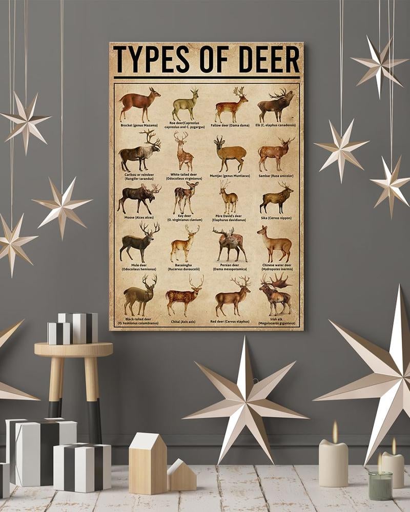 types-of-deer-poster-hunting-technique-poster-poster-art-design