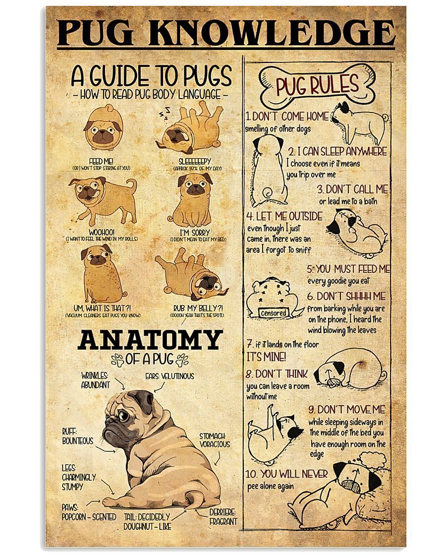 32DDTDOG-Pug Dog Knowledge Vertical Poster