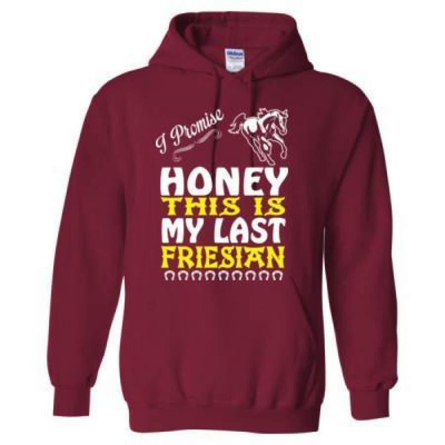 AGR I Promise Honey This Is My Last Friesian Horse – Heavy Blend™ Hooded Sweatshirt