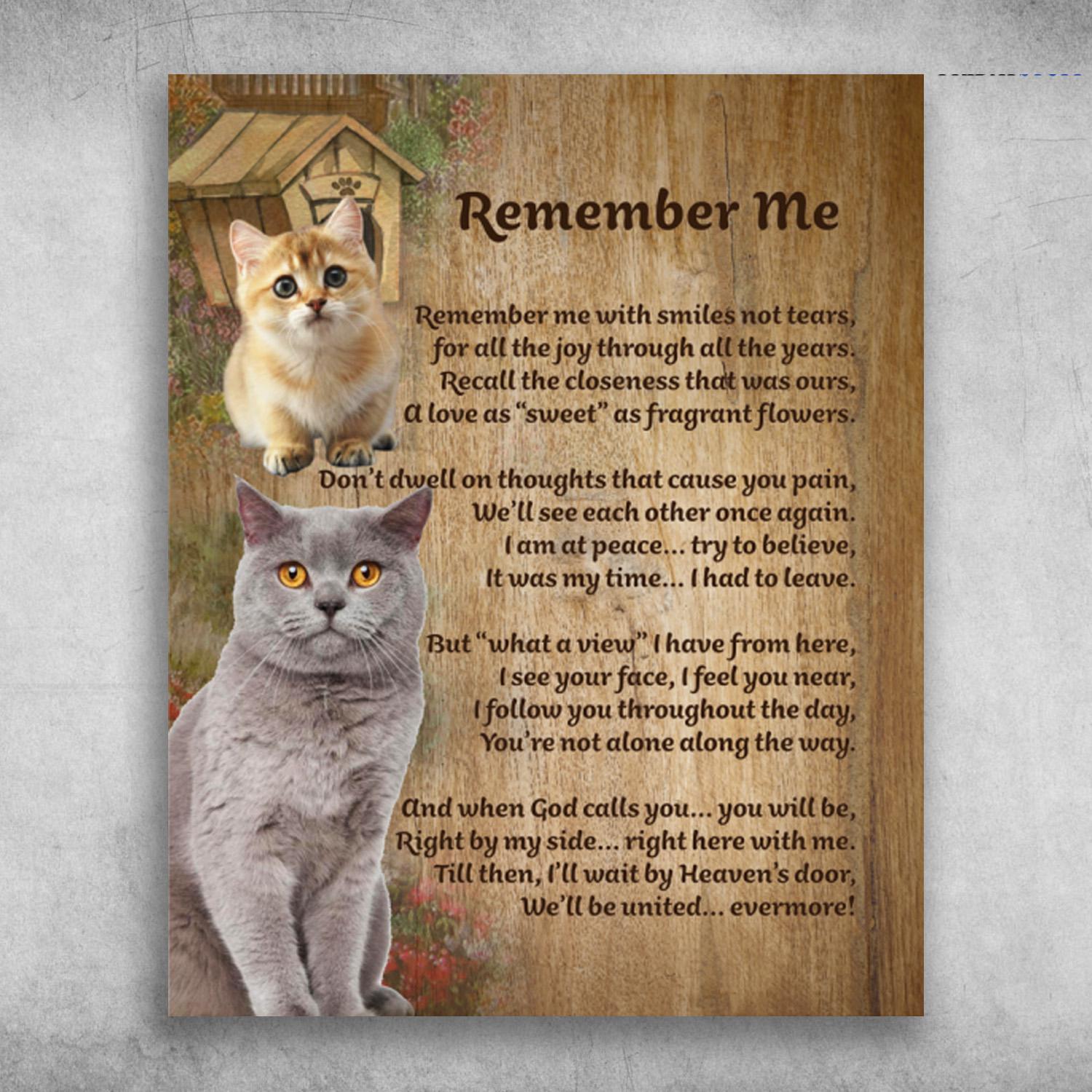 Cute Cat Remember Me With Smiles Not Tears A Love As Sweet As Fragrant Flowers Poster Print Wall Art Canvas Wall Decor