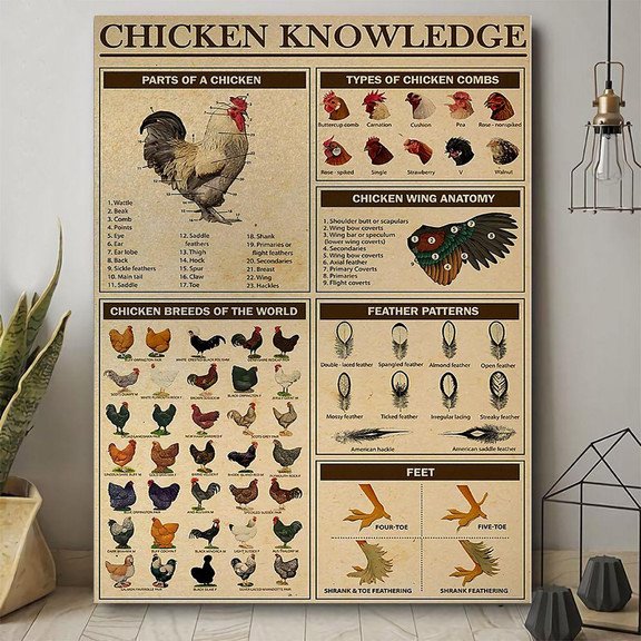 Chicken Knowledge Poster Canvas Home D  cor Thanksgiving Gifts For Men Women