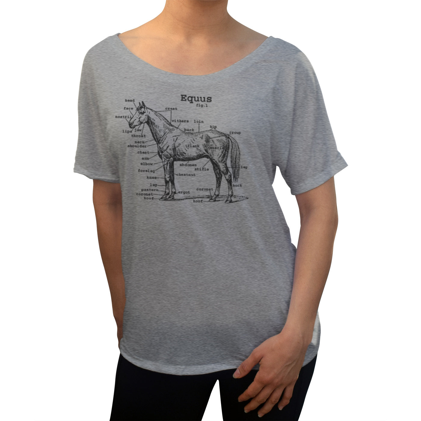 Women’S Horse Anatomy Diagram Scoop Neck T-Shirt