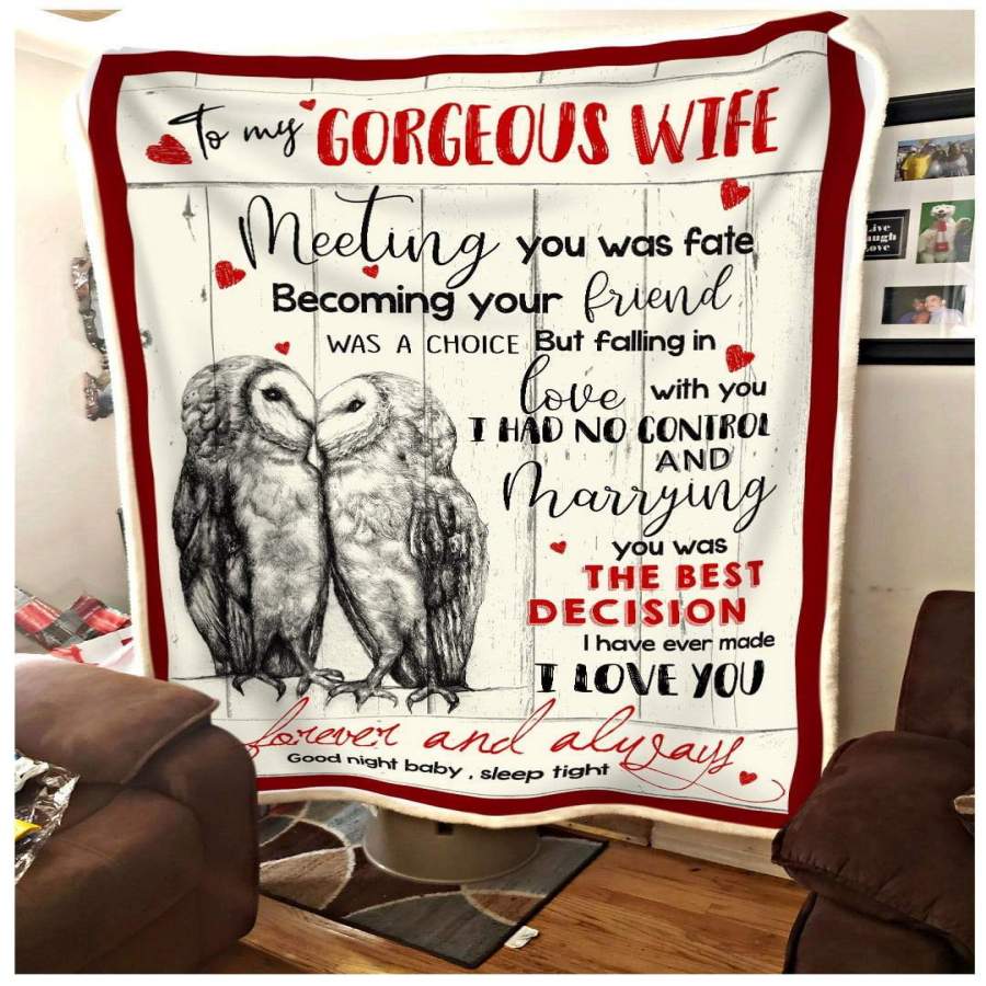 Owl Blanket Gift For Gorgeous Wife Meeting You Was Fate