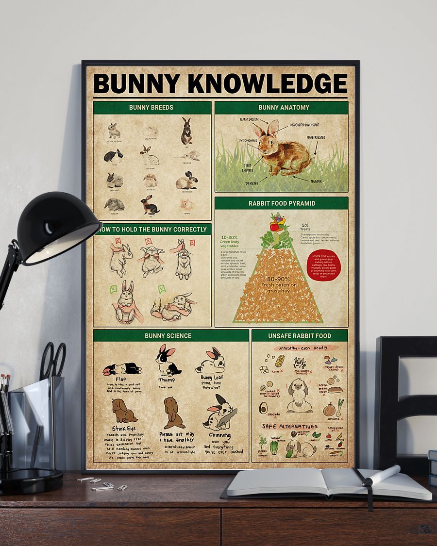 Rabbit Bunny Knowledge Vertical Canvas And Poster | Wall Decor Visual Art