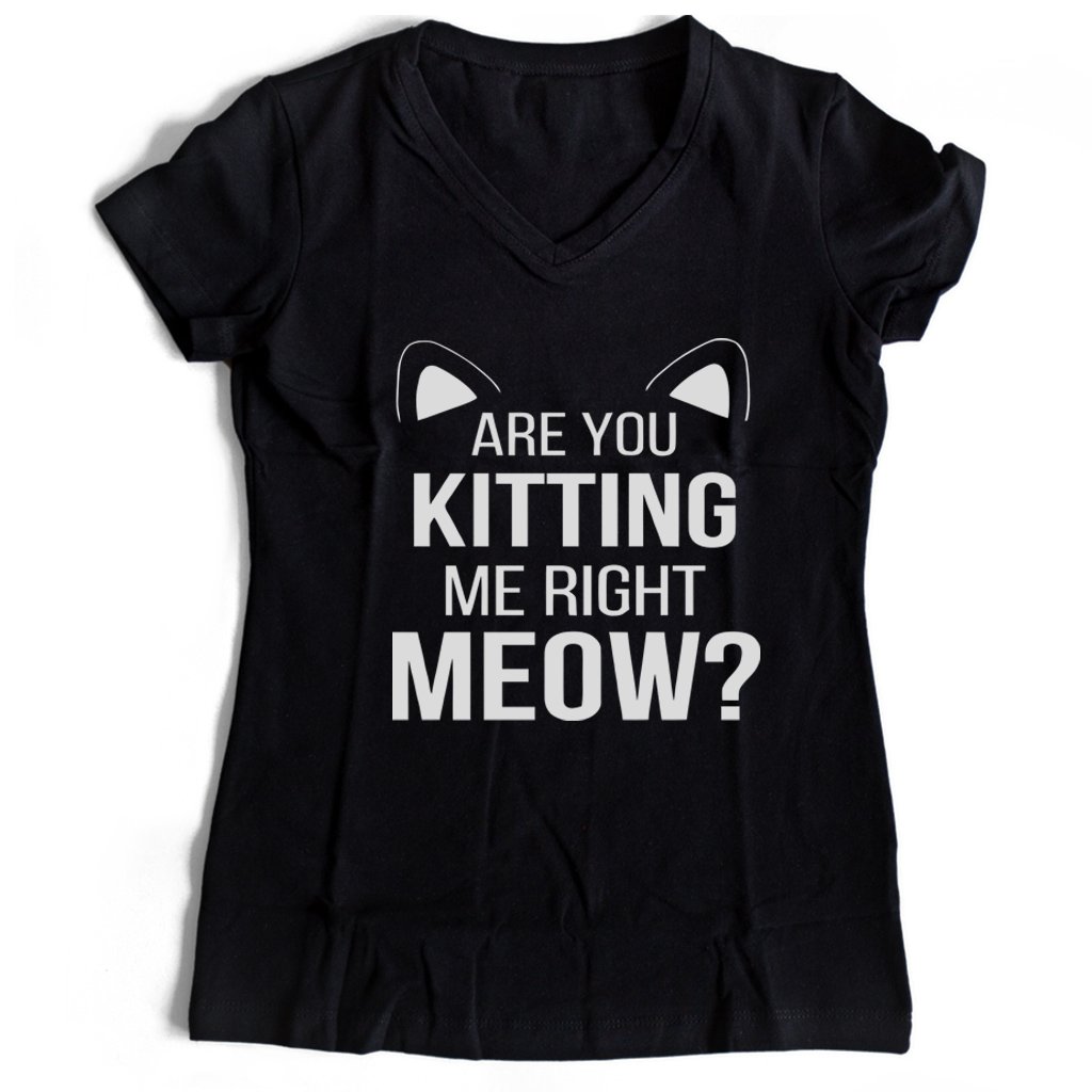 Are You Kitten Me Right Meow Duck Women’s V-Neck Tee T-Shirt