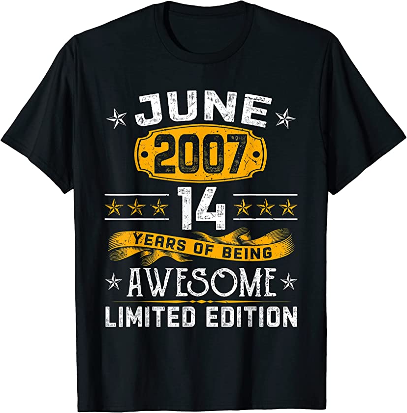 Vintage June 2007 14th Birthday Decorations 14 Years Old T-Shirt