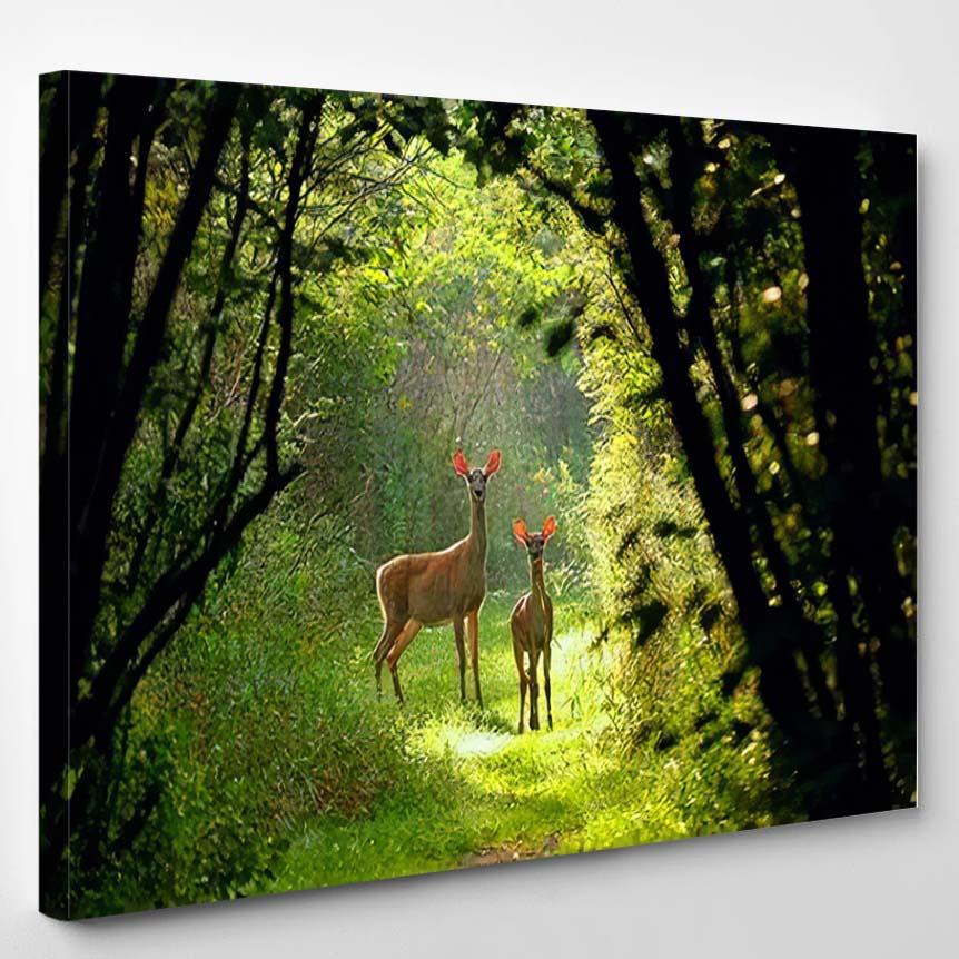 Whitetailed Deerodocoileus Virginianus Virginia Deer Hind – Deer Animals Canvas Print