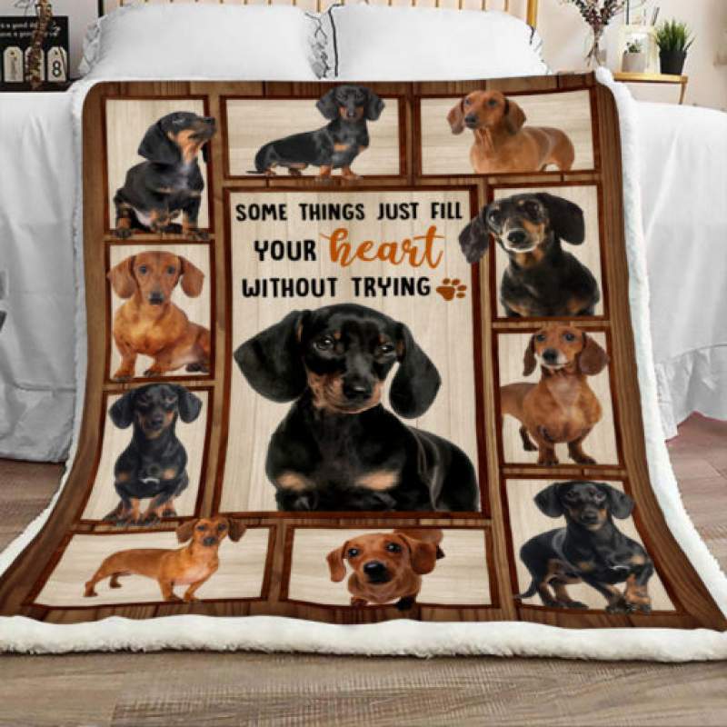 Dachshund Dog Sherpa Blanket JR2201 69O51