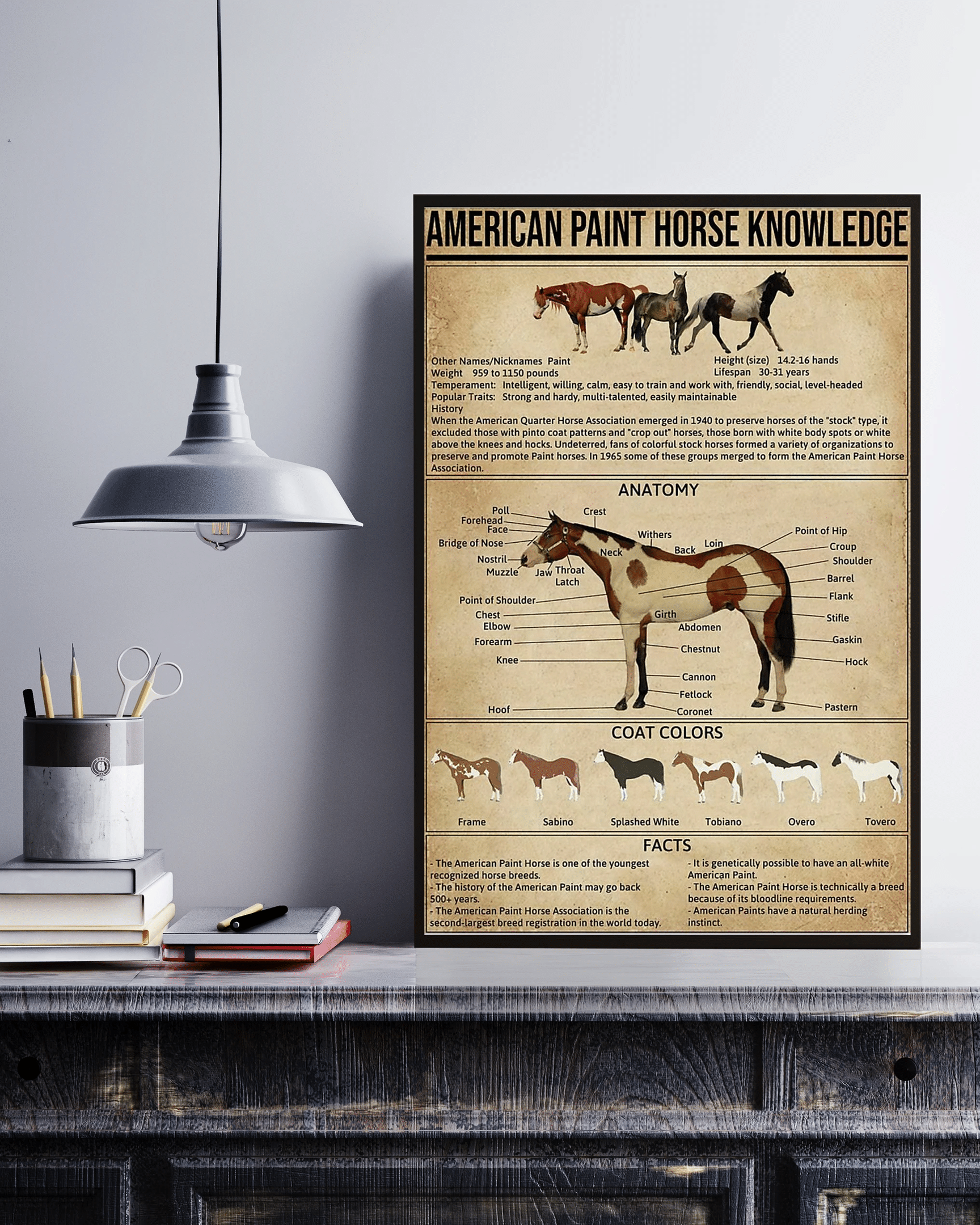 American Paint Horse Knowledge Canvas Prints Poster Wall Art