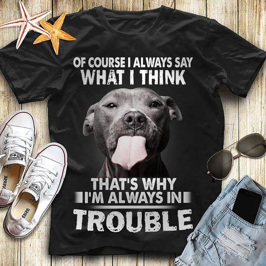 Of Course I Always Say What I Think That’s Why I’m Always In Trouble Pitbull Gift T-shirt