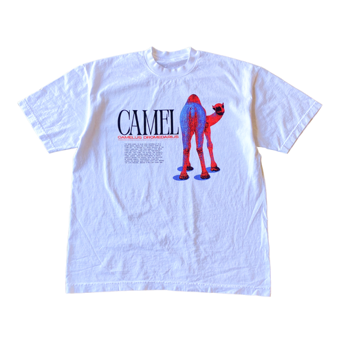 Camel Look Back At It Tee Shirt Outfit