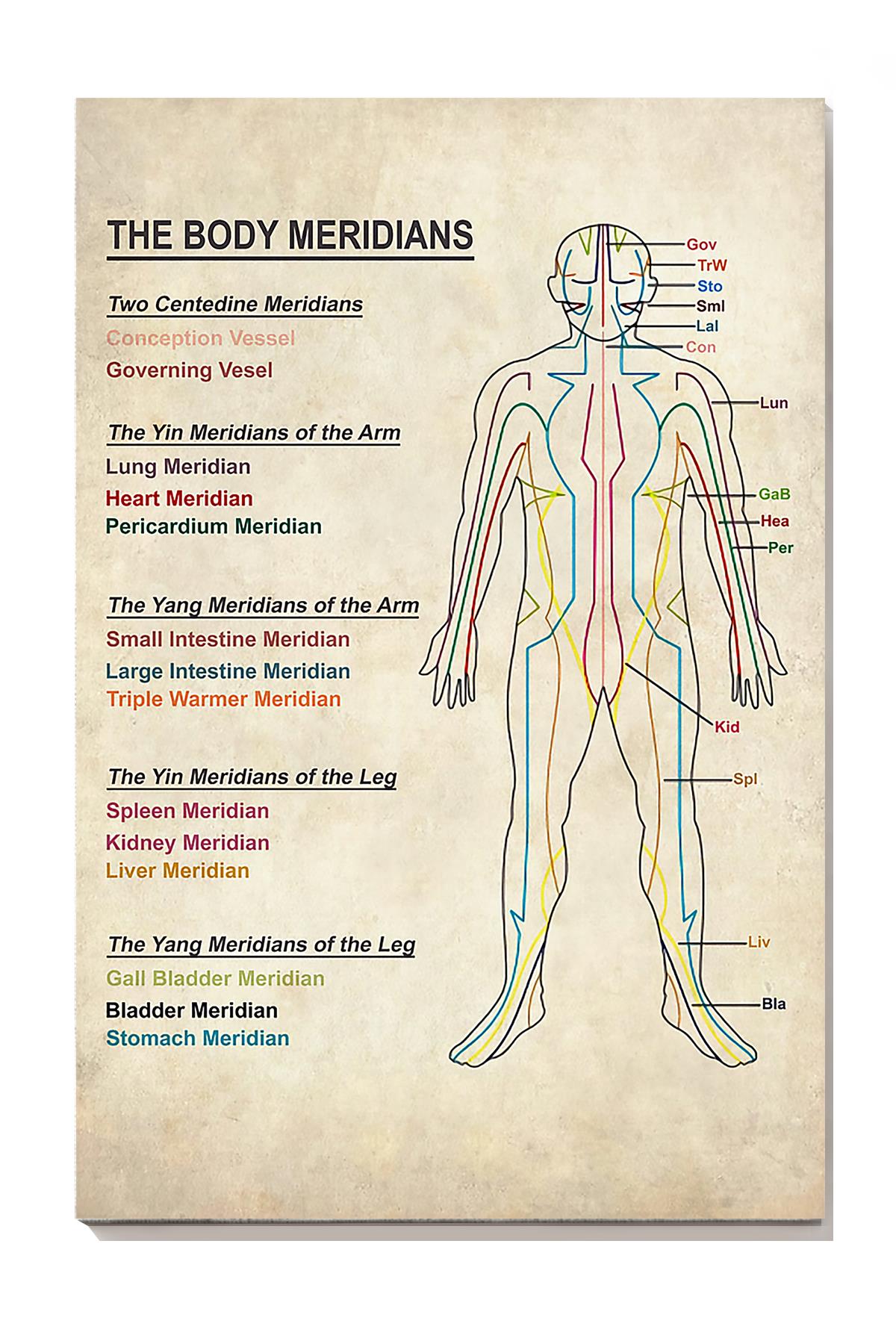 The Body Meridians Medical Knowledge Wall Art For Doctor Hospital Clinic Decor Wrapped Canvas