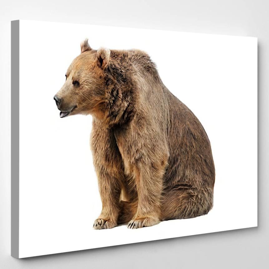 Russian Brown Bear Isolated – Bear Animals Canvas Print