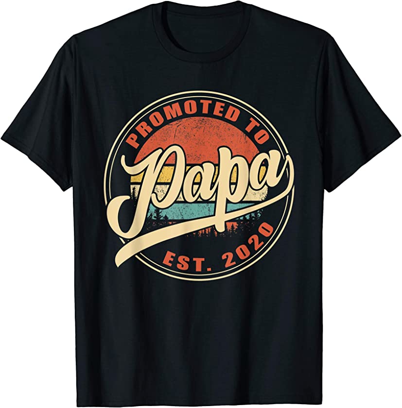 Vintage Retro Promoted to Papa Est 2020 Papa gifts Dad gifts T-Shirt