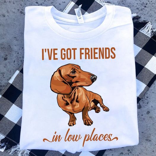 I’Ve Got Friends In Low Place Funny Dachshund Dog Lovers Gift Standard/Premium T-Shirt
