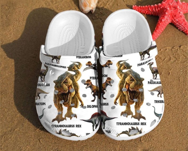 Dinosaur Types Pattern Gift For Lovers clog Shoes