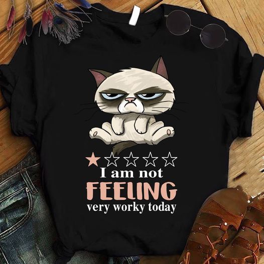 Grumpy Cat I Am Not Feeling Very Worky Today Hoodie Sweater T-Shirt