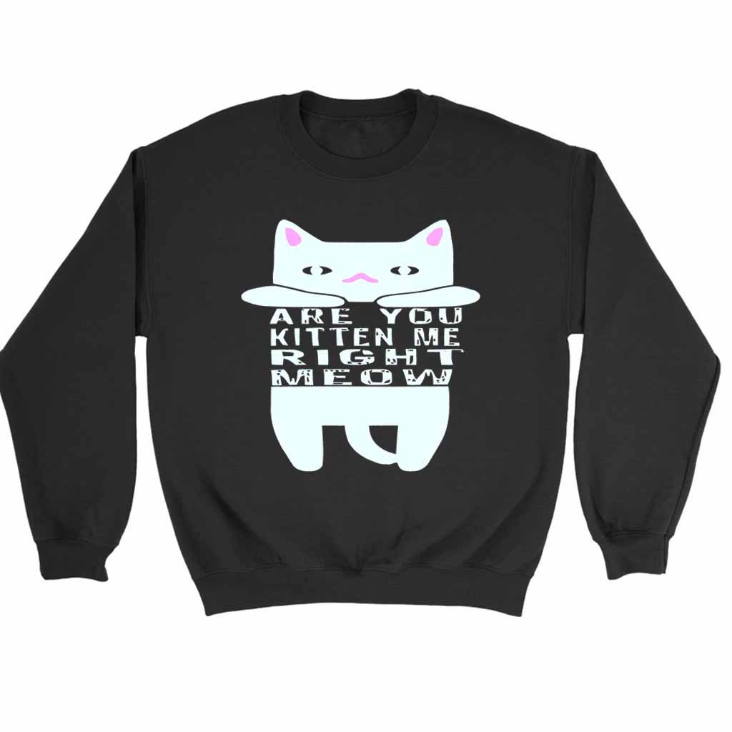 Are You Kitten Me Right Meow Home Sweatshirt Sweater