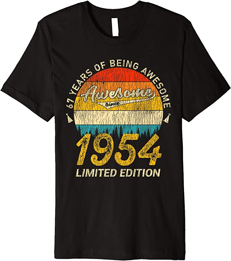 67 Year Old Bday Awesome Since 1954 – Vintage 67th Birthday Premium T-Shirt