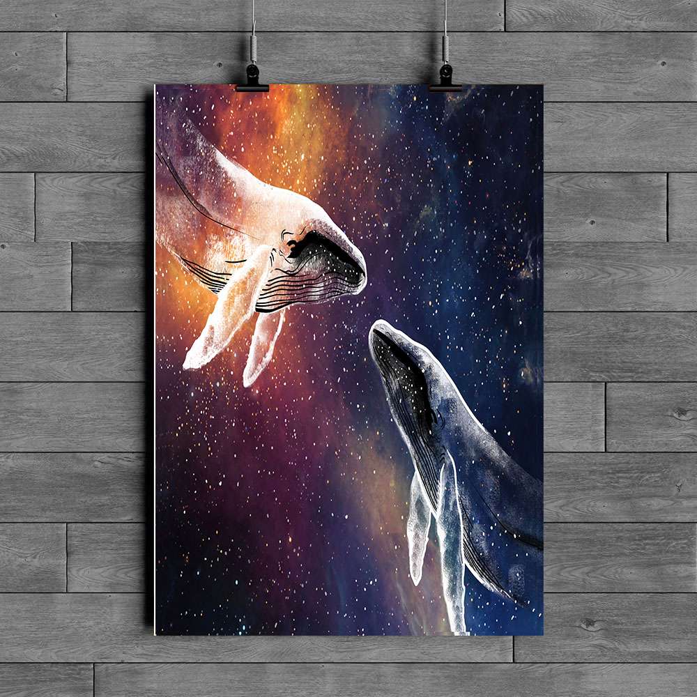 Whale Poster Qg220249Pt