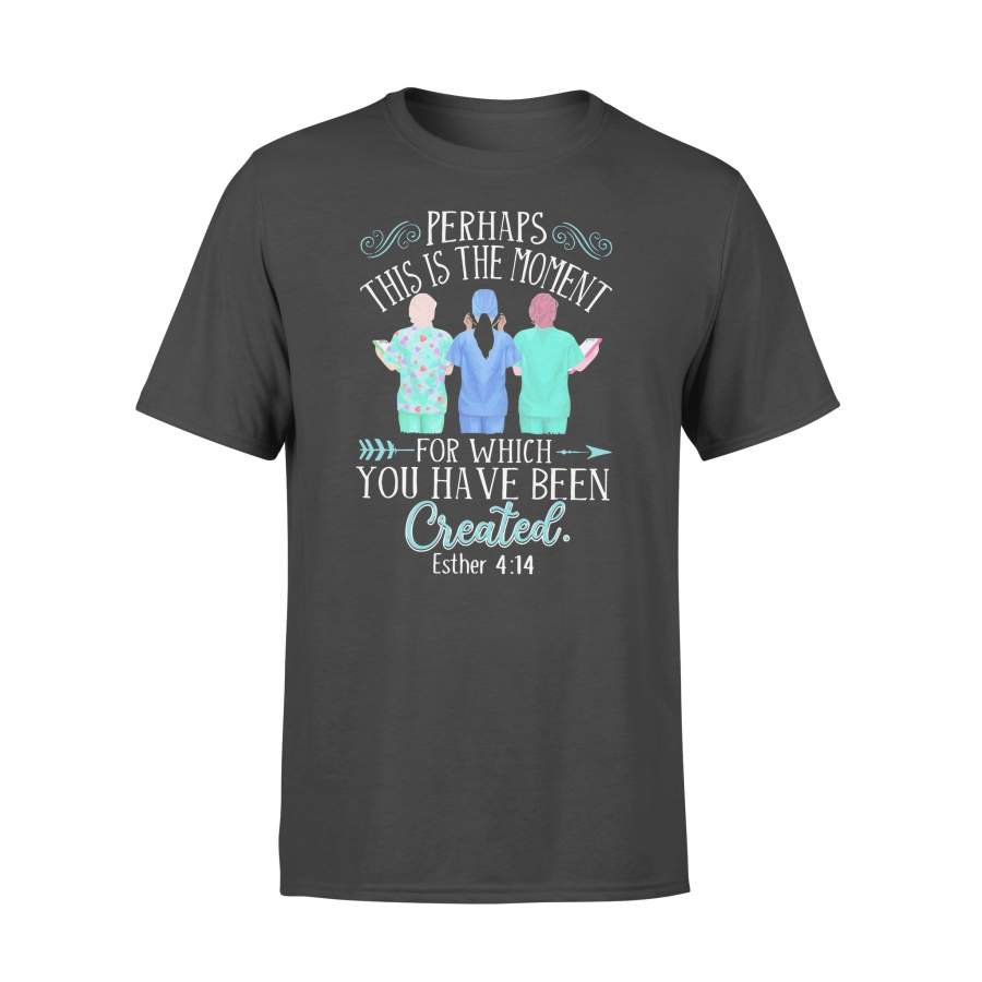 Perhaps This Is The Moment For Which You Have Been Created Esther 4 14 T-shirt