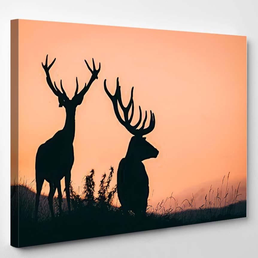 Red Deer When Sun Down Majestic – Deer Animals Canvas Print