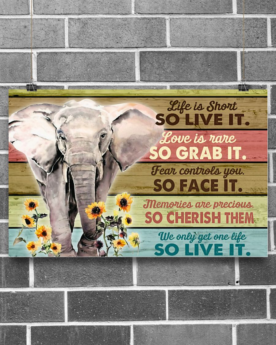 Elephant We Only Get One Life So Live It Horizontal Canvas And Poster | Wall Decor Visual Art