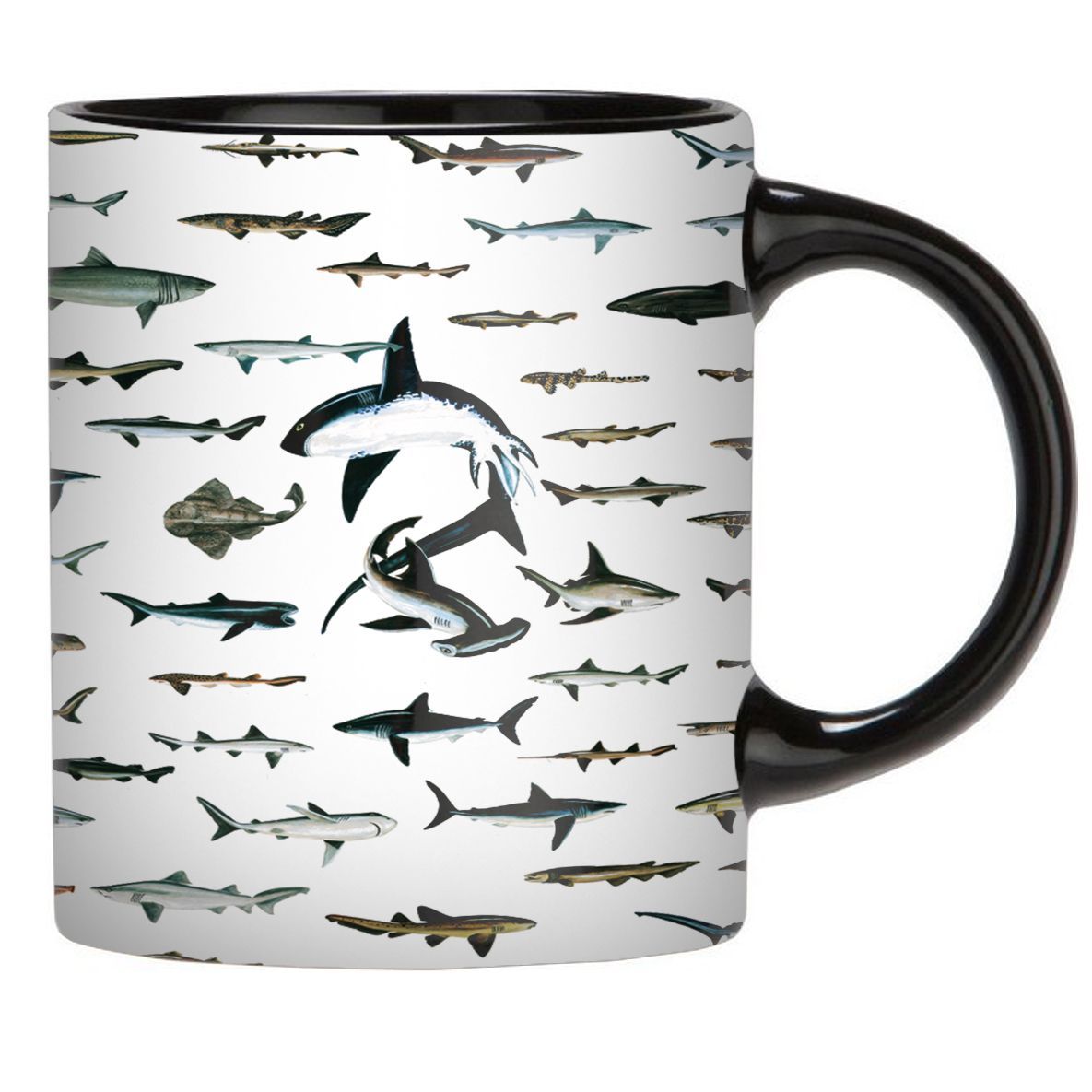 Shark Mug QA080904