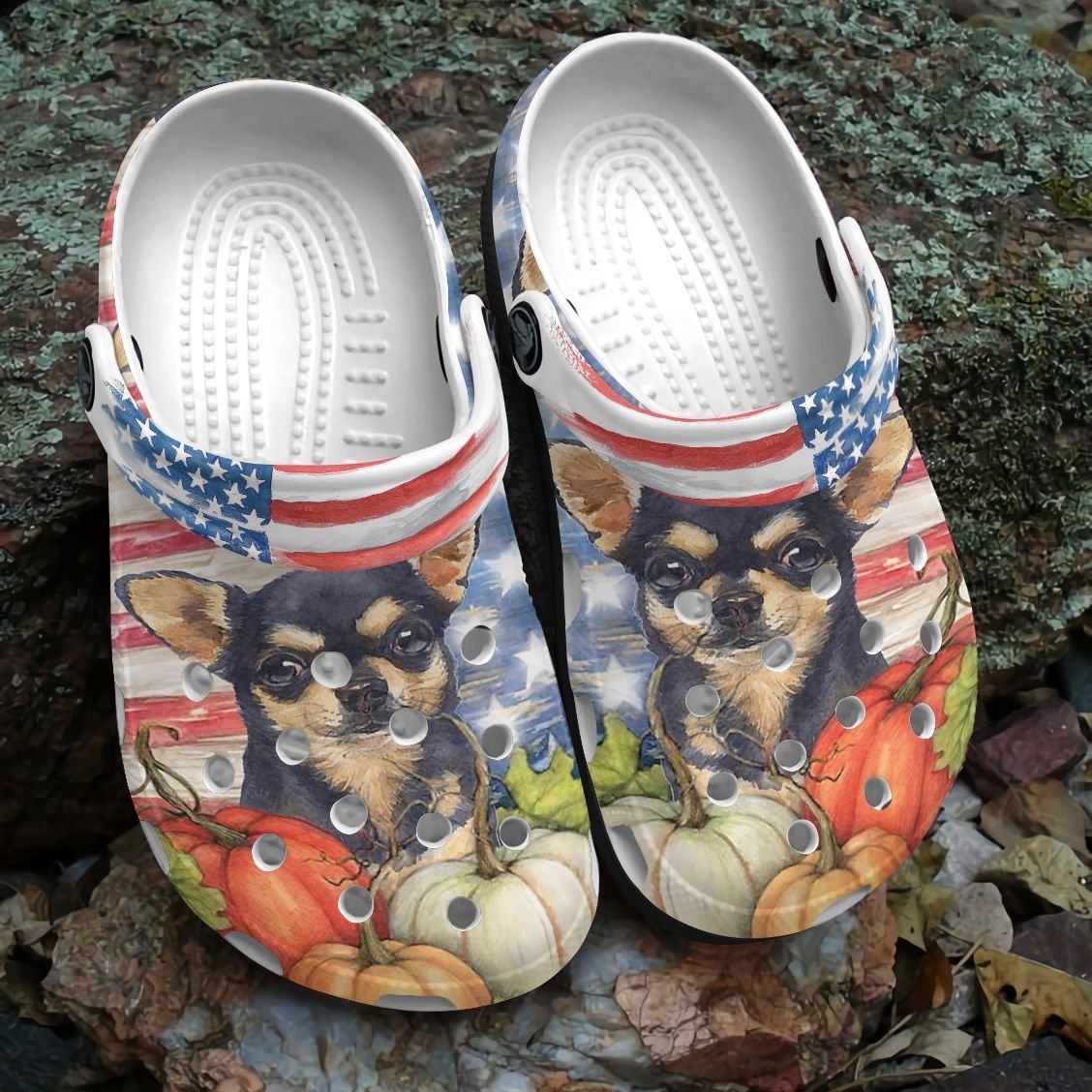 Chihuahua Personalized Clog, Custom Name, Text, Color, Number Fashion Style For Women, Men, Kid, Print 3D Chihuahua Halloween