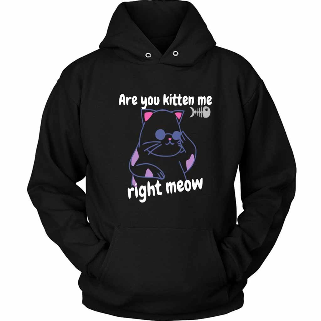 Are You Kitten Me Right Meow Join Unisex Hoodie