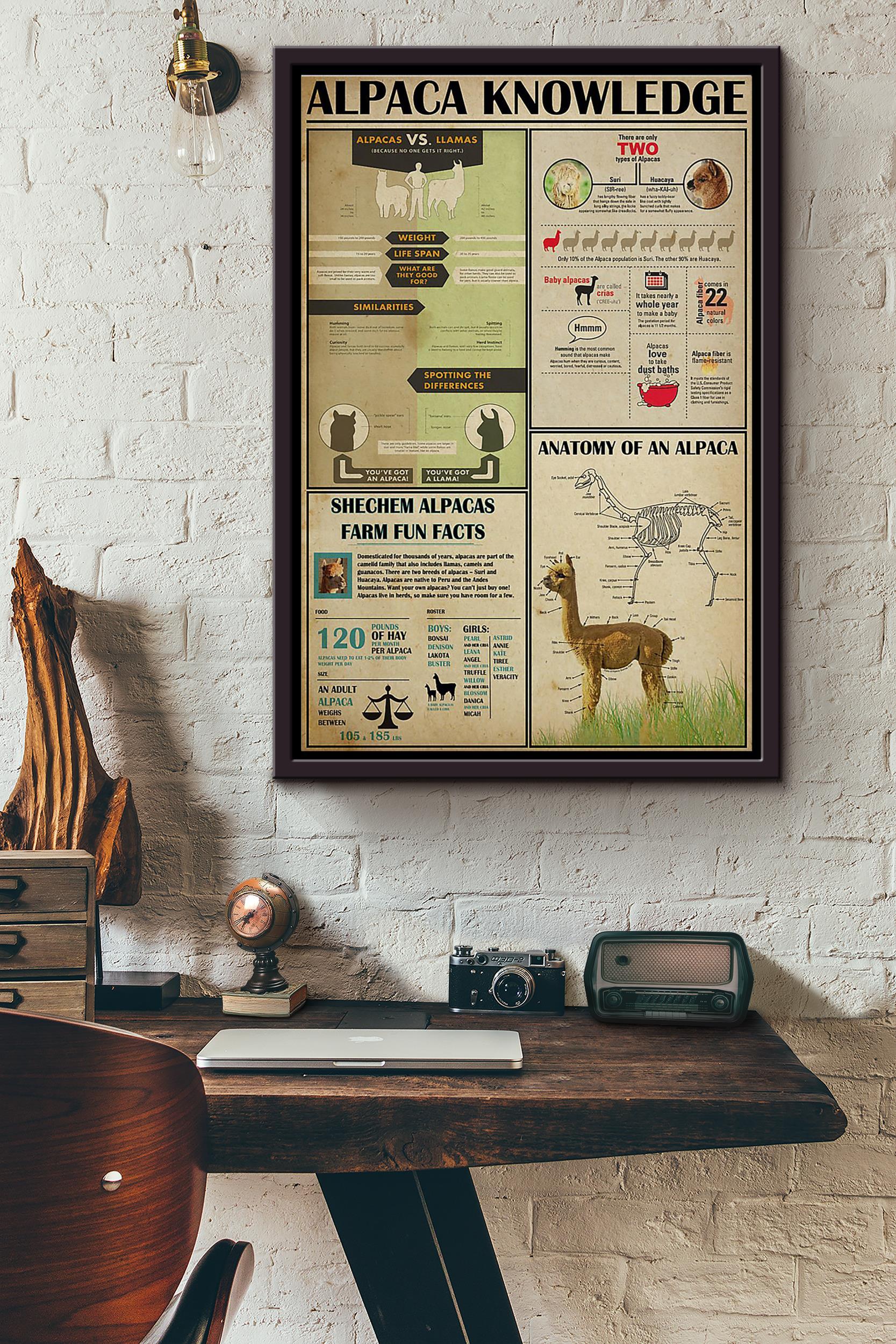 Alpaca Knowledge Framed Matte Canvas