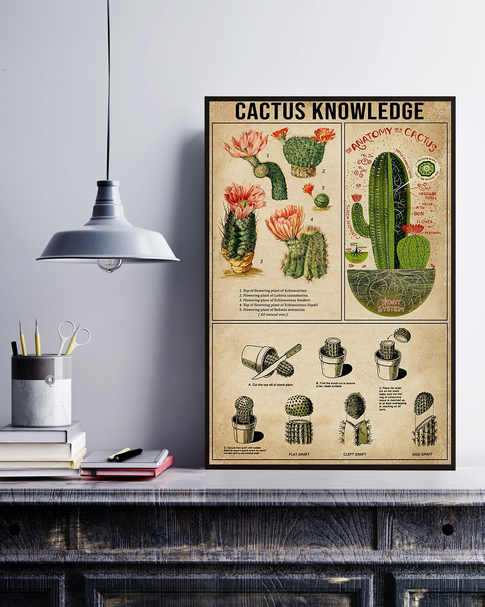 Cactus Succulent Knowledge Poster