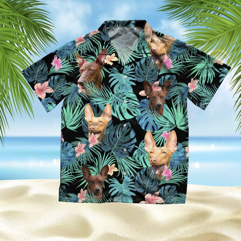 Felacia Cirneco Summer Leaves Hawaii Shirt Ha94135