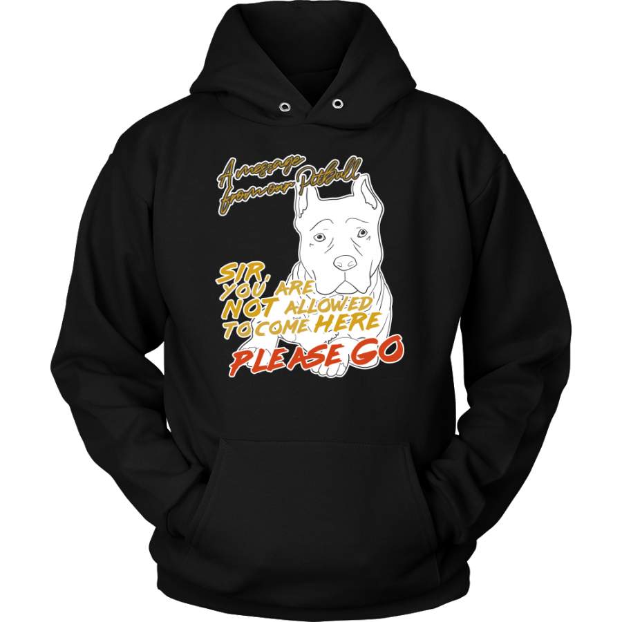 Pitbull Funny Quote Don’t Come Here Animal Pet Lover Hoodie