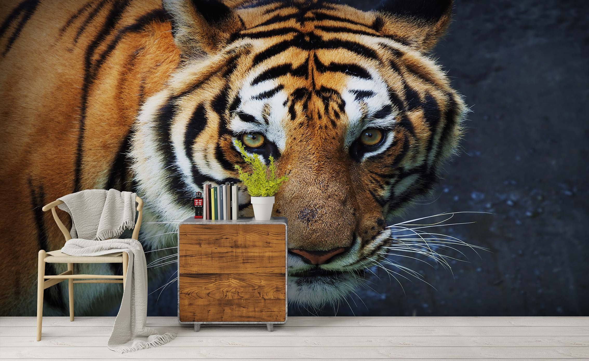 3D Closeup Tiger Wall Mural Wallpaper Sww 242