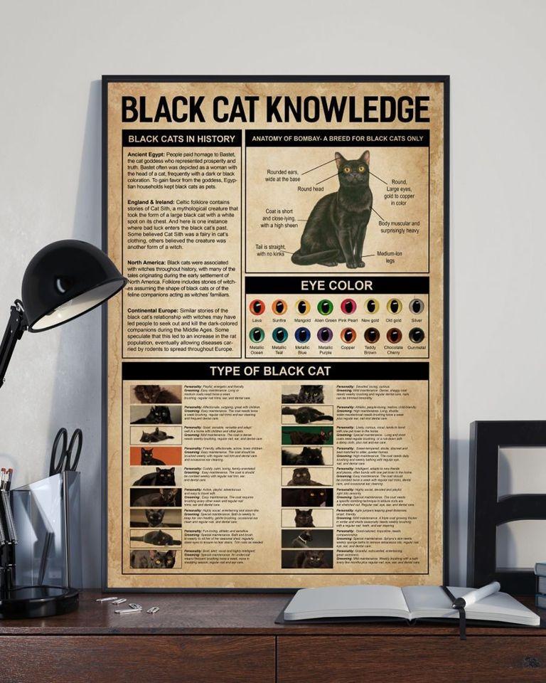 Black Cat Knowledge Personalized Canvas, Poster Custom Design Wall Art