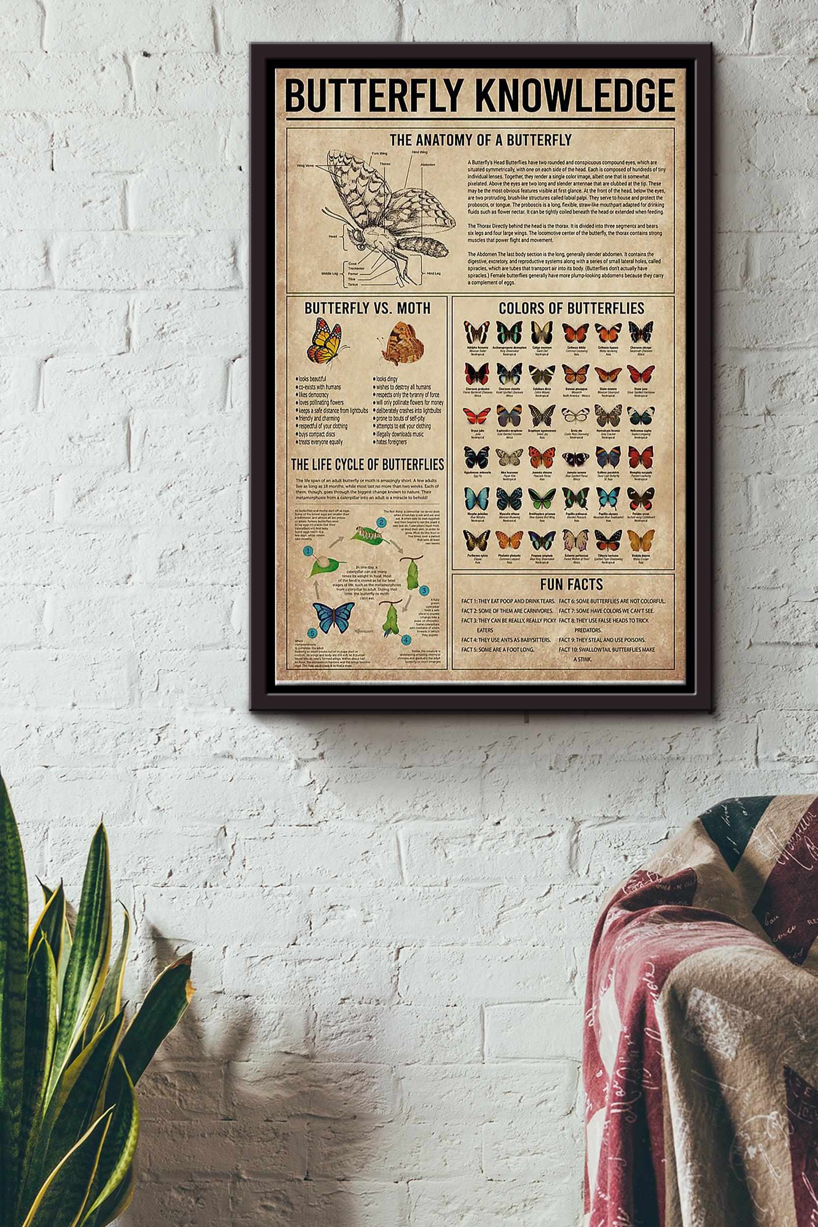 Butterfly Knowledge Things You Need To Know About Butterfly Poster Framed Matte Canvas