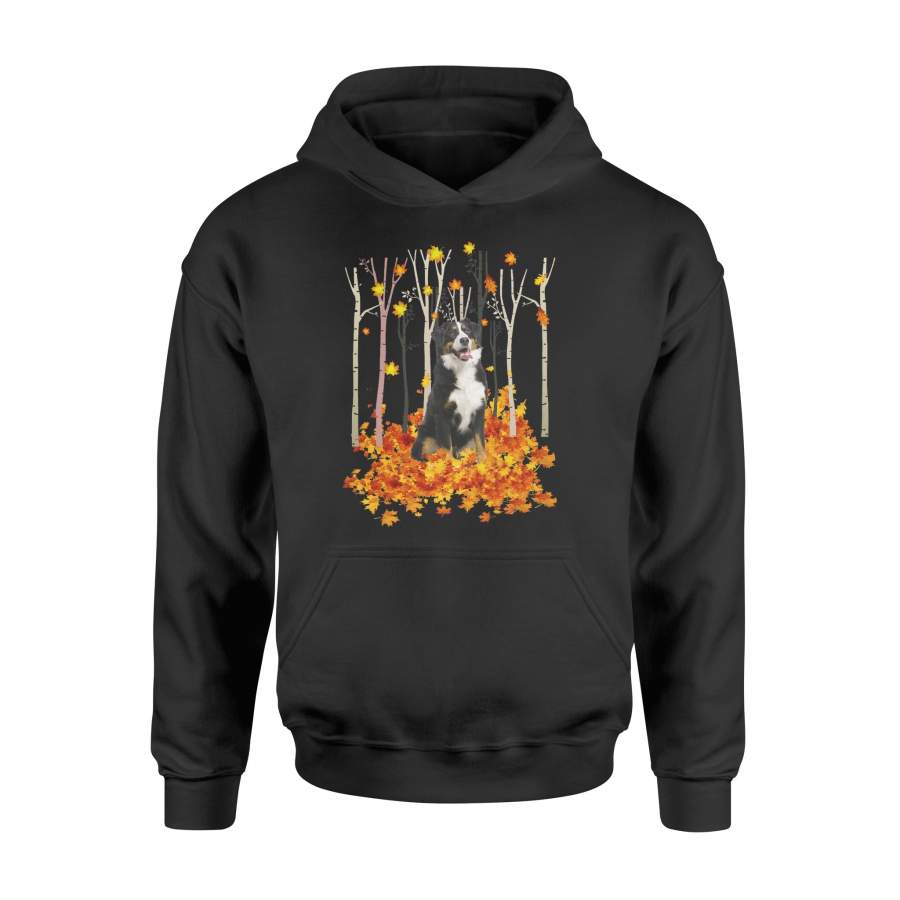 Fall Bernese Mountain Shirt and Hoodie – IPH444